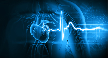 Normal Heart Rate in Adults and Kids: When It's Dangerous?