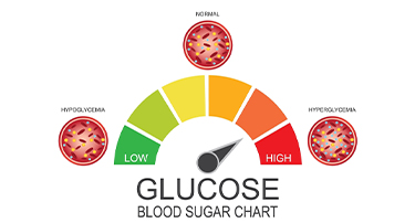 What Are The Normal Ranges of Glucose Levels?